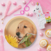 Anlass-goldener Retriever-Hund mit Blume Pappteller (Party)