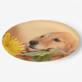 Anlass-goldener Retriever-Hund mit Blume Pappteller (Schrägansicht)