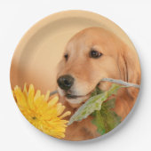 Anlass-goldener Retriever-Hund mit Blume Pappteller (Vorderseite)