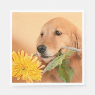 Anlass-goldener Retriever-Hund mit Blume Serviette