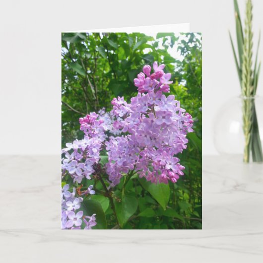 Anlass-Gruß-Karte (freier Raum nach innen) Karte (Vorderseite)