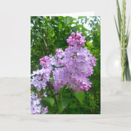 Anlass-Gruß-Karte (freier Raum nach innen) Karte