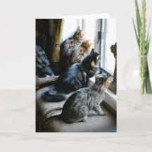 Anlass-Gruß-Karte - Katzen am Fenster