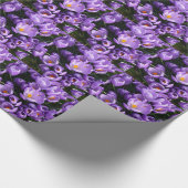Anlass-lila Krokus-Verpackungs-Papier Geschenkpapier (Ecke)