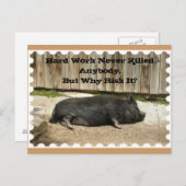 Anlass-Postkarte mit Topf aufgeblähtem Schwein Postkarte (Vorne/Hinten)