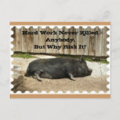 Anlass-Postkarte mit Topf aufgeblähtem Schwein Postkarte (Vorderseite)