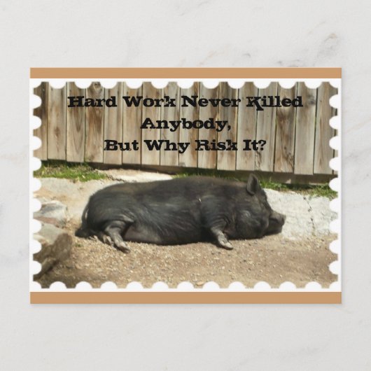 Anlass-Postkarte mit Topf aufgeblähtem Schwein Postkarte (Vorderseite)