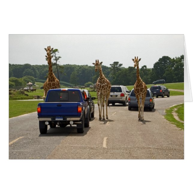 Anlaufverkehr (Vorderseite (Horizontal))