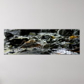 Anleihenfälle - Obere Halbinsel Poster (Vorne)