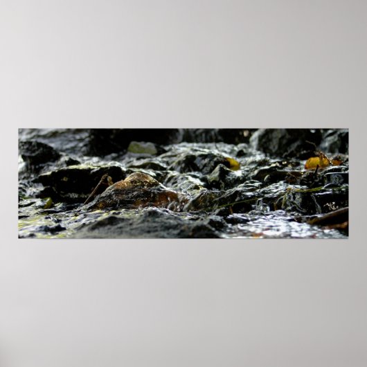 Anleihenfälle - Obere Halbinsel Poster (Vorne)