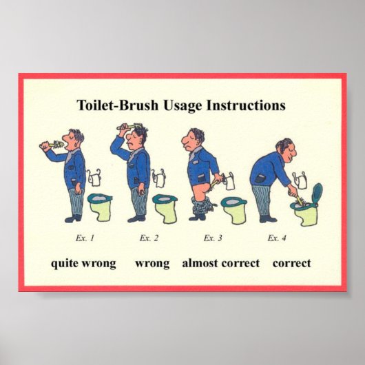 Anleitung für die Toilettenspülung Poster (Vorne)