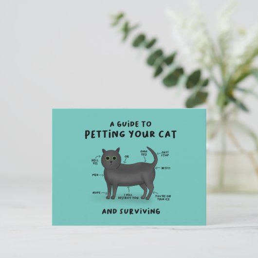 Anleitung zum Ausblättern Ihrer Katze - Katzen-Spa Postkarte (Stehend Vorderseite)