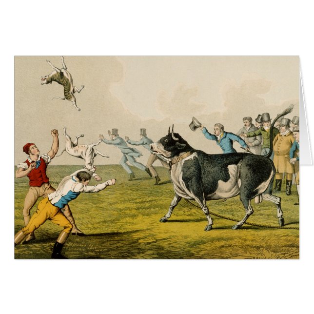 "Anlockender Stier", Kneipe. durch Thomas McLean, (Vorderseite (Horizontal))
