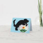 Anmerkung Karte Katze - Fischerei (Vorderseite)