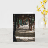 Anmerkung: Minorca-Holz Karte (Gelbe Blume)