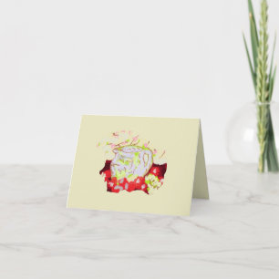 Anmerkung: Wasserpitcher Tomaten/Paradeiser mit Tr