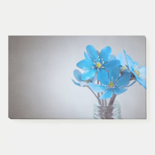 Anmerkungen abschicken post-it klebezettel (Vorderseite)