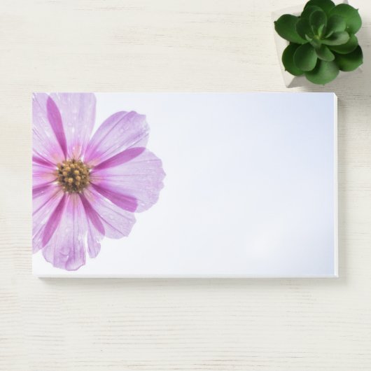 Anmerkungen abschicken post-it klebezettel (Büro)