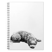 Anmerkungen des Fensters Notizblock (Vorderseite)