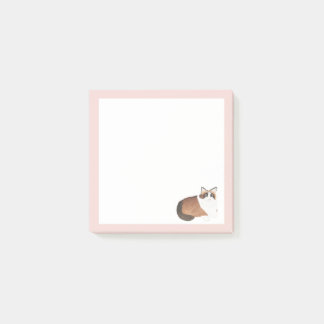 Anmerkungen nach dem IT-System, 3" x 3" Post-it Klebezettel