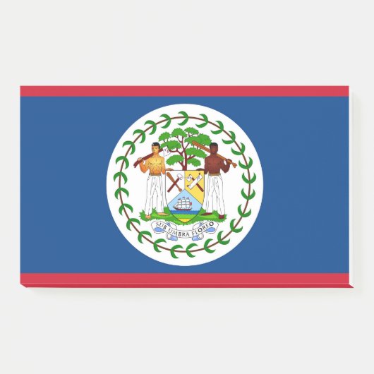 Anmerkungen unter der Flagge von Belize Post-it Klebezettel (Vorderseite)