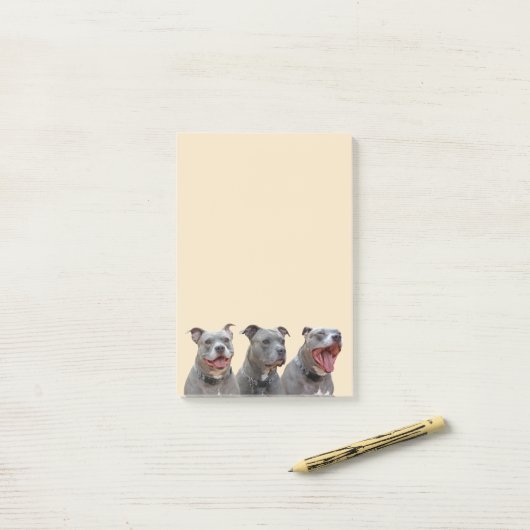 Anmerkungen zu Pitbulys Post-it Klebezettel (Auf Schreibtisch)