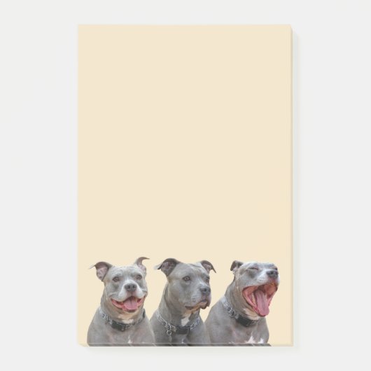Anmerkungen zu Pitbulys Post-it Klebezettel (Vorderseite)
