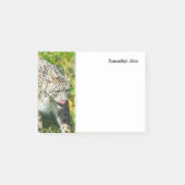 Anmerkungen zu Snow Leopard Post-it Klebezettel (Vorderseite)