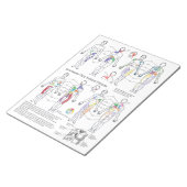 Anmerkungen zum Notepad mit klerotischem Schmerz Notizblock (angewinkelt)