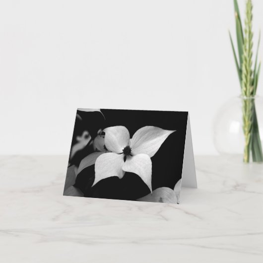 Anmerkungs-Karte - B/W Hartriegel Dankeskarte (Vorderseite)