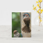 Anmerkungs-Karte: Baum-Spatzen auf Zufuhr Karte (Gelbe Blume)