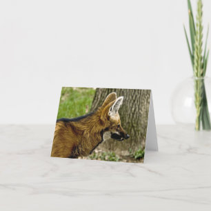 Anmerkungs-Karte des Maned Wolf-1529 Karte