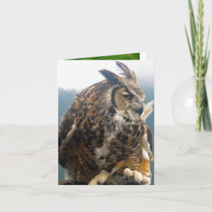 Anmerkungs-Karte jeder Anlass mit drei Vögeln Karte