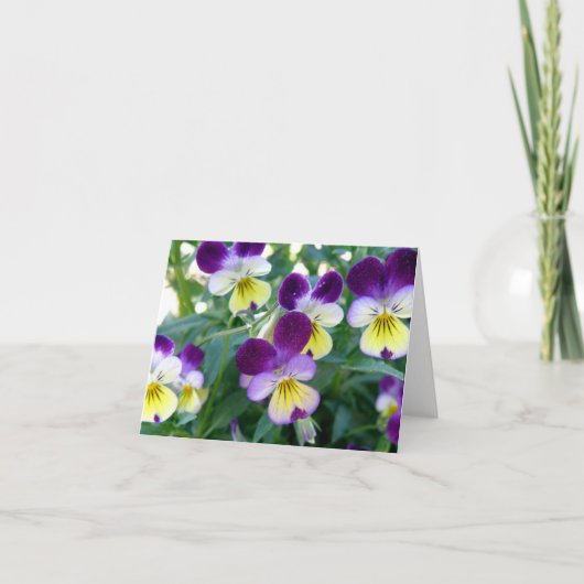 Anmerkungs-Karte Johnny Sprung-UPS Karte (Vorderseite)