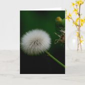 Anmerkungs-Karte - Löwenzahn Karte (Gelbe Blume)