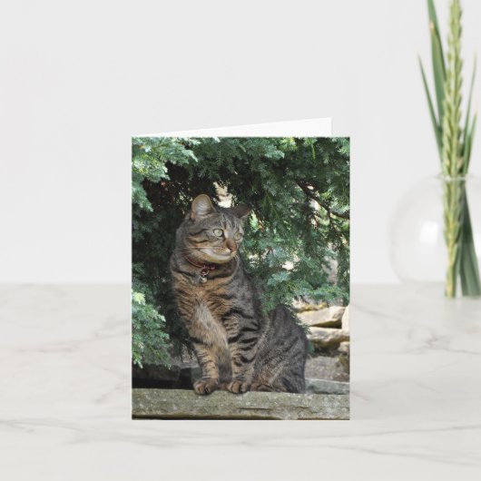 Anmerkungs-Karte: Minnie Karte (Vorderseite)