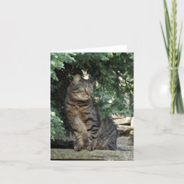 Anmerkungs-Karte: Minnie Karte