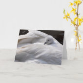 Anmerkungs-Karte: Niedlicher Cygnet auf der Karte (Gelbe Blume)