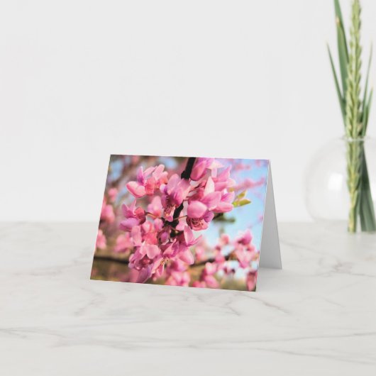 Anmerkungs-Karte Oklahomas Redbud Karte (Vorderseite)