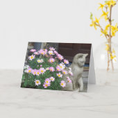 Anmerkungs-Karte: Rosa Gänseblümchen Karte (Gelbe Blume)