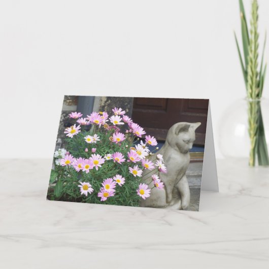 Anmerkungs-Karte: Rosa Gänseblümchen Karte (Vorderseite)