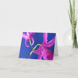Anmerkungs-Karte, rosa Orchideen-Blumen, blauer Karte