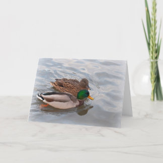 Anmerkungs-Karte: Stockenten-Enten Karte