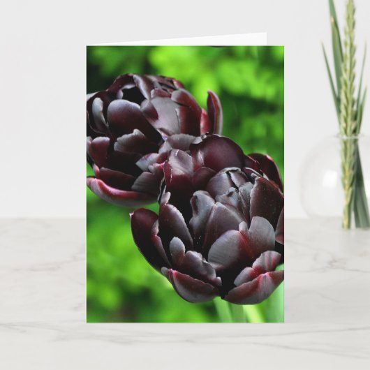 Anmerkungs-Karte: Tulpen Karte (Vorderseite)