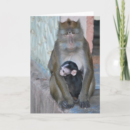 Anmerkungs-Kartemacaque-Affe und Baby - Subic Bay Karte (Vorderseite)