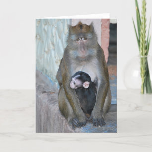 Anmerkungs-Kartemacaque-Affe und Baby - Subic Bay Karte