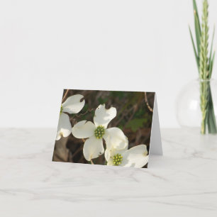 Anmerkungs-Karten-Hartriegel Karte