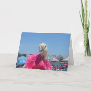 Anmerkungskarte Prinzessin Ella Beach Karte