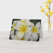 Anmerkungskarte - weiße Plumerias Karte (Gelbe Blume)