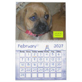 ANML-RESQ KALENDER (Feb 2027)
